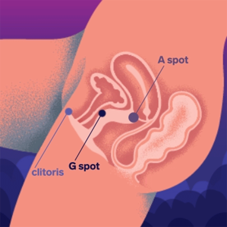 ENIGMA Double Sonic G-spot Vibrators - Image 3